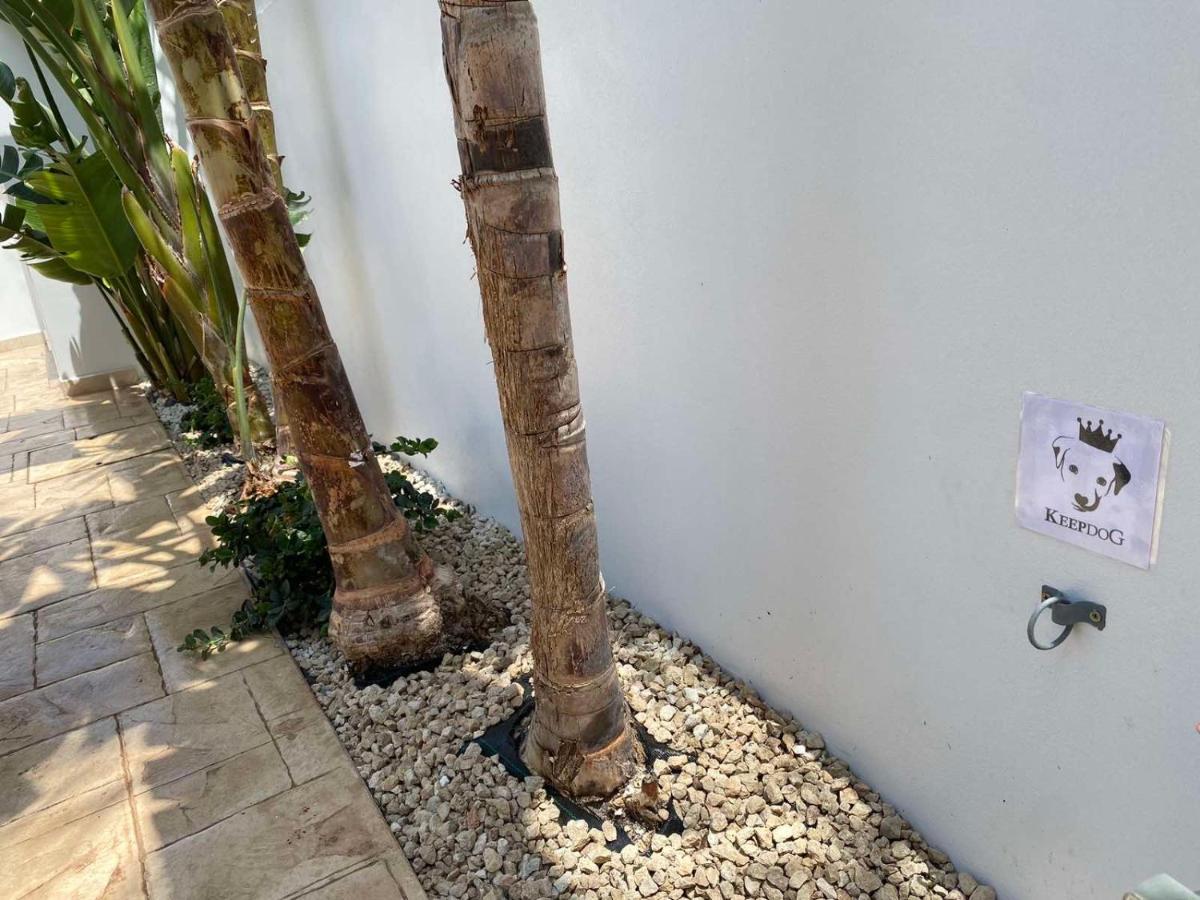 Villa Diana - 200 Meters From Kapparis, Fireman'S Beach Paralimni Exterior photo